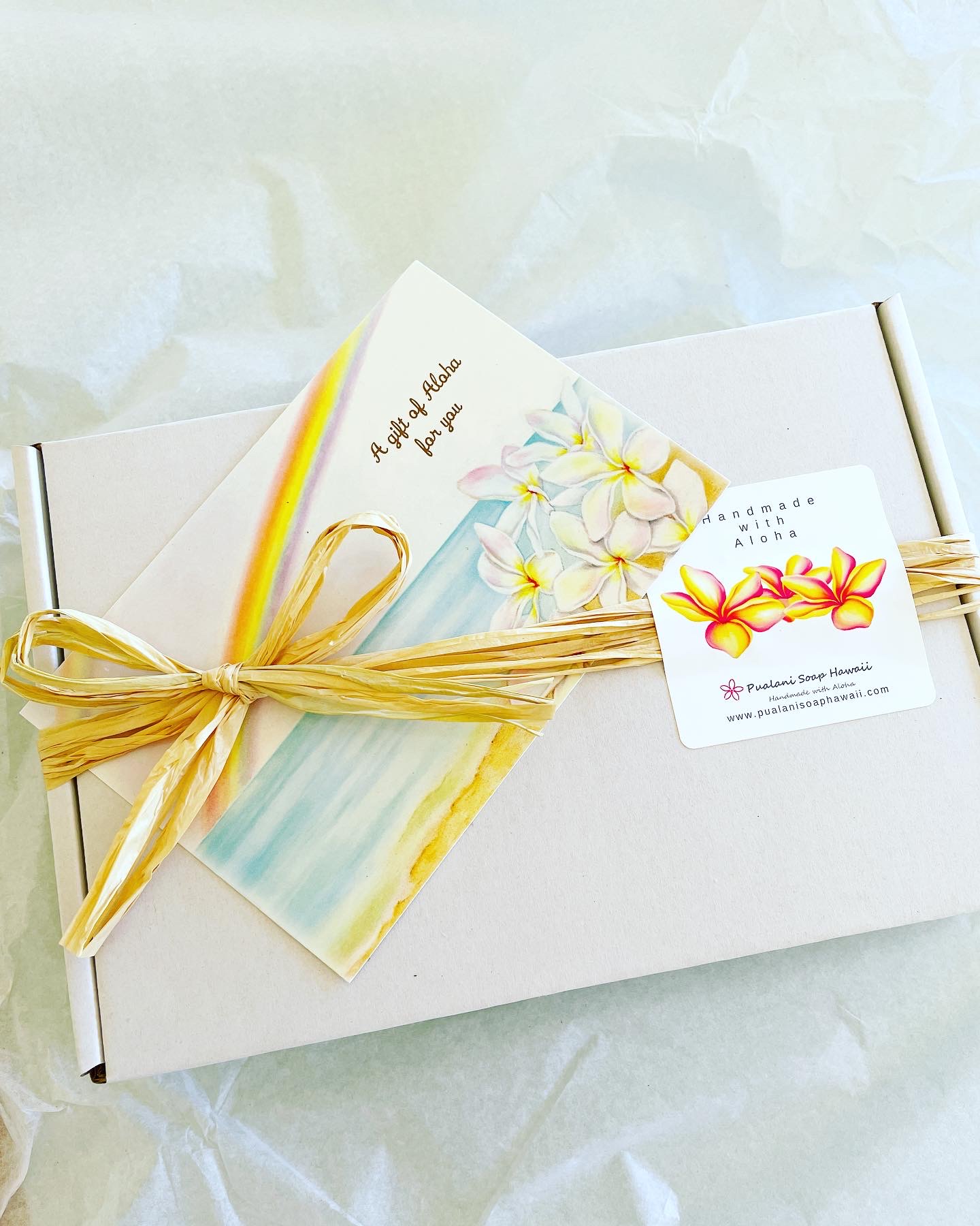 Hawaiian Ocean Salt Soap Set with Hawaiian Beeswax Salve and Lip Balm - Image 4