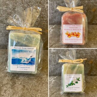 3 Mini soap bar deal 2oz each