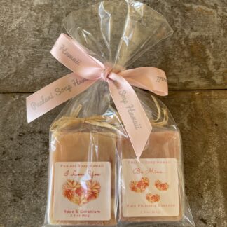 2 Mini Soap Gift Pack Choose your favorite soap