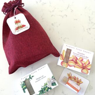 Holiday Hawaiian Soap in Gift Bag with Hawaiian Beeswax Lip Balm // 2 x soap bars and 1 x lip balm