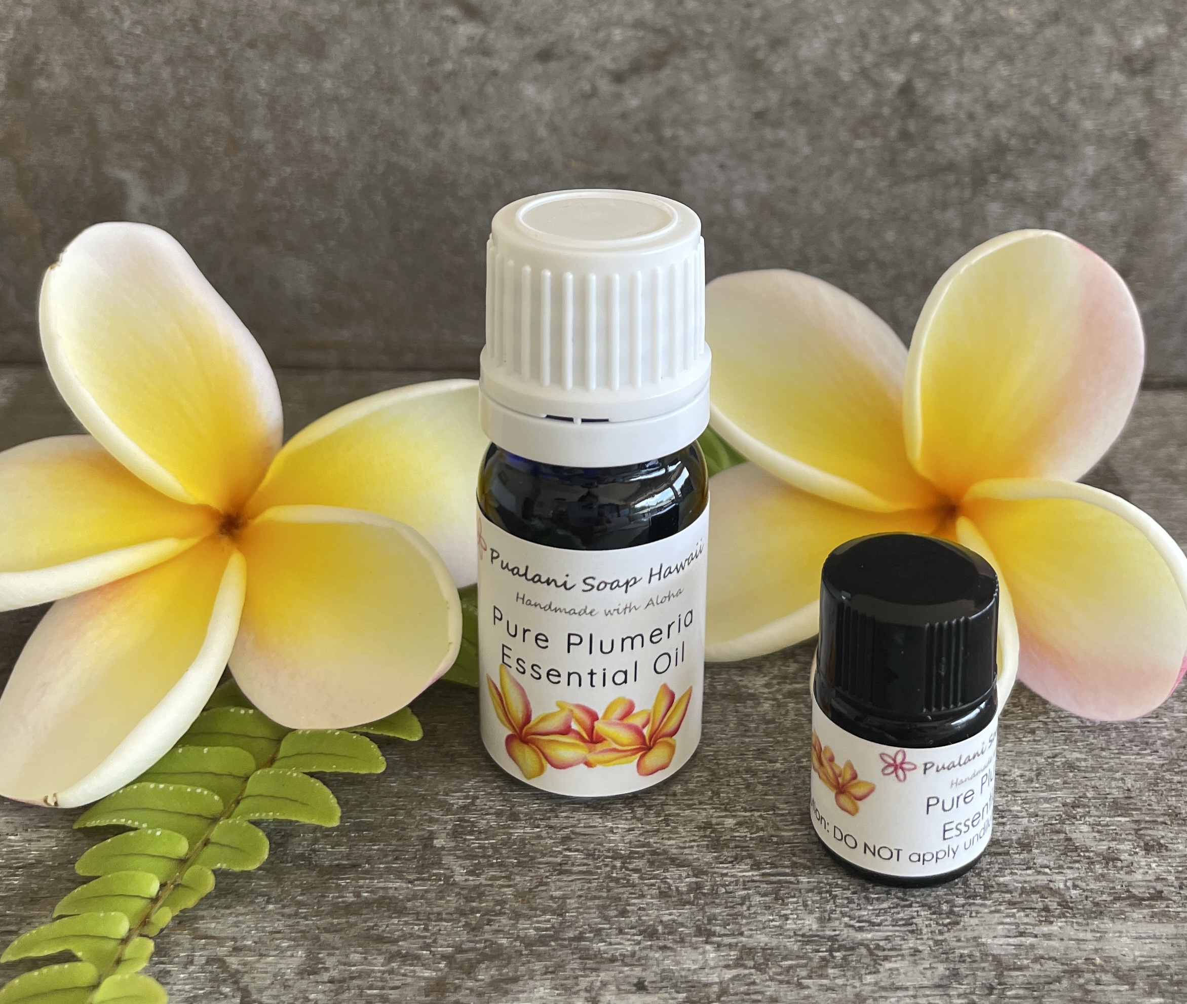 100% Pure Plumeria Essential Oil (Frangipani) // 2ml or 5ml