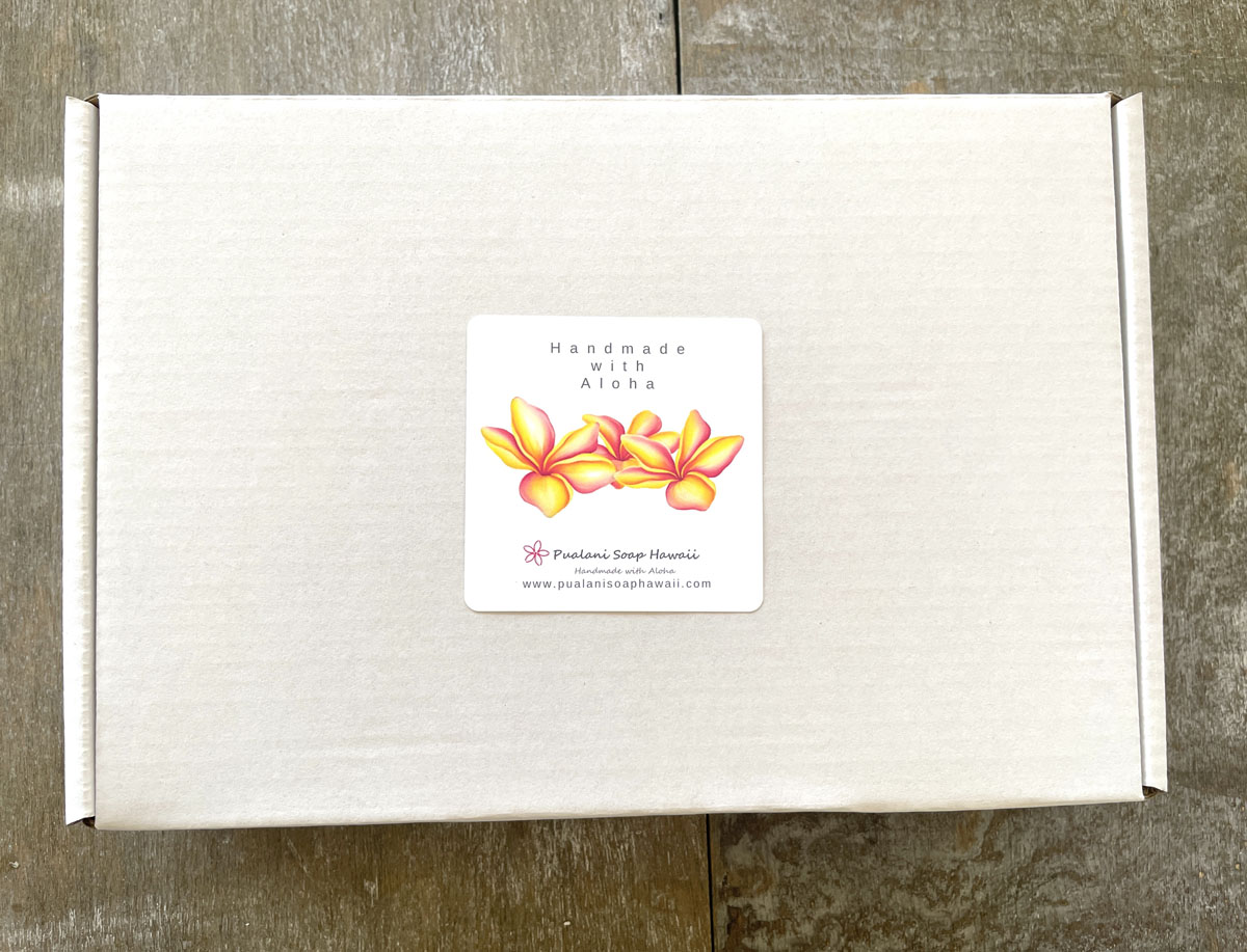 Pualani Soap Hawaii Pack of 2 Soap Gift Box with 4 Soap Bars in each box (Ship to Japan pack)